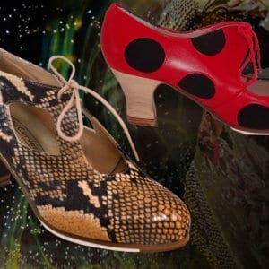 Lady shoes